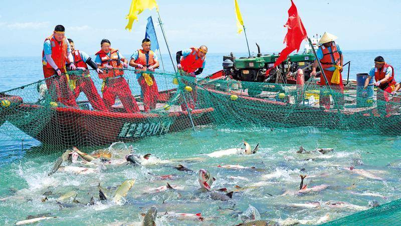 新疆“海鮮”大豐收 內(nèi)陸水產(chǎn)養(yǎng)殖新篇章，助力國人實現(xiàn)魚蝦自由